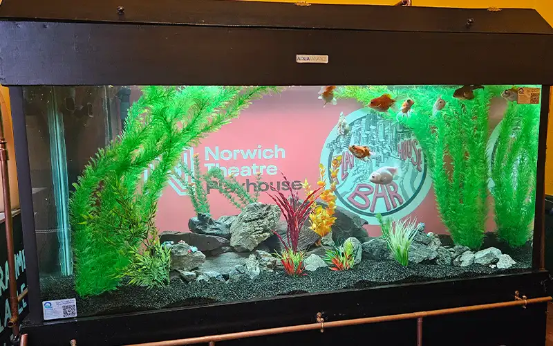 Aquarium Hire Central Norwich