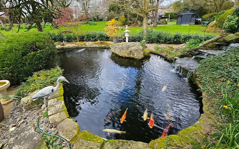 Pond Maintenance Suffolk