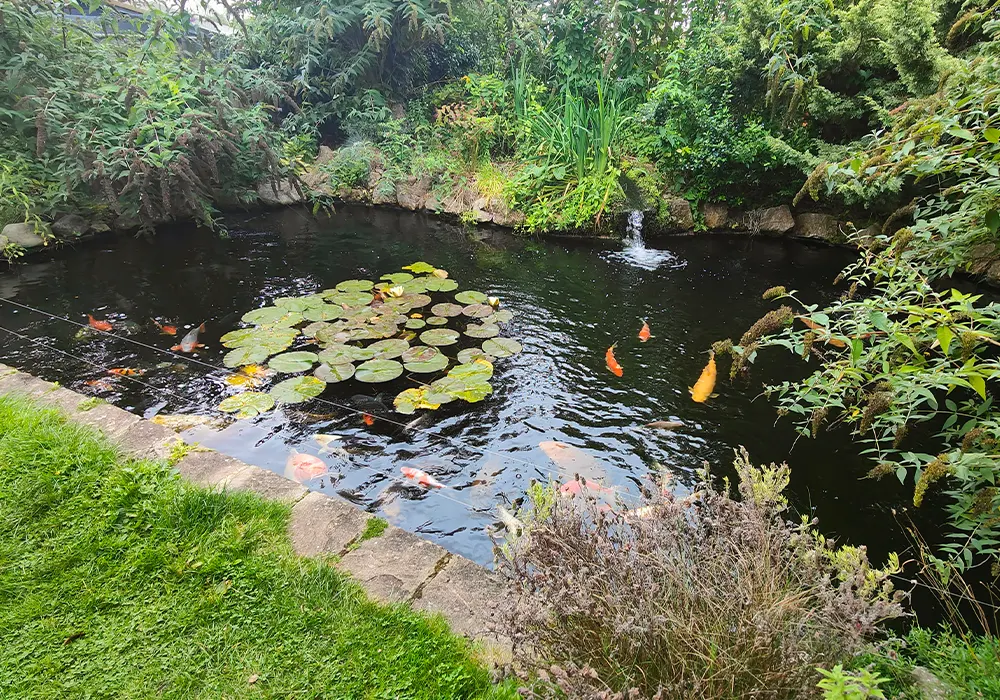 Pond Services Norfolk