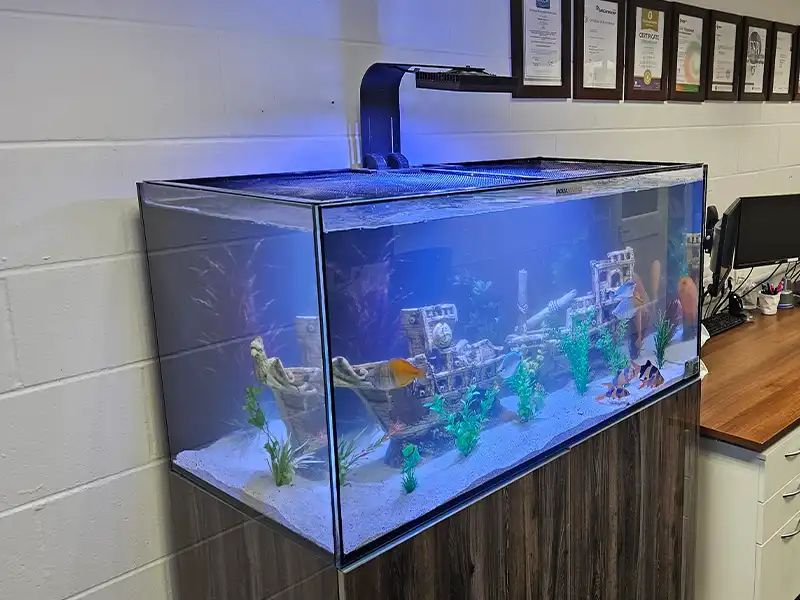 Aquariums Services Norfolk