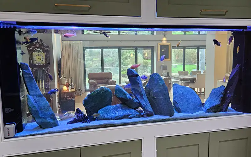 Aquariums For Rental Suffolk