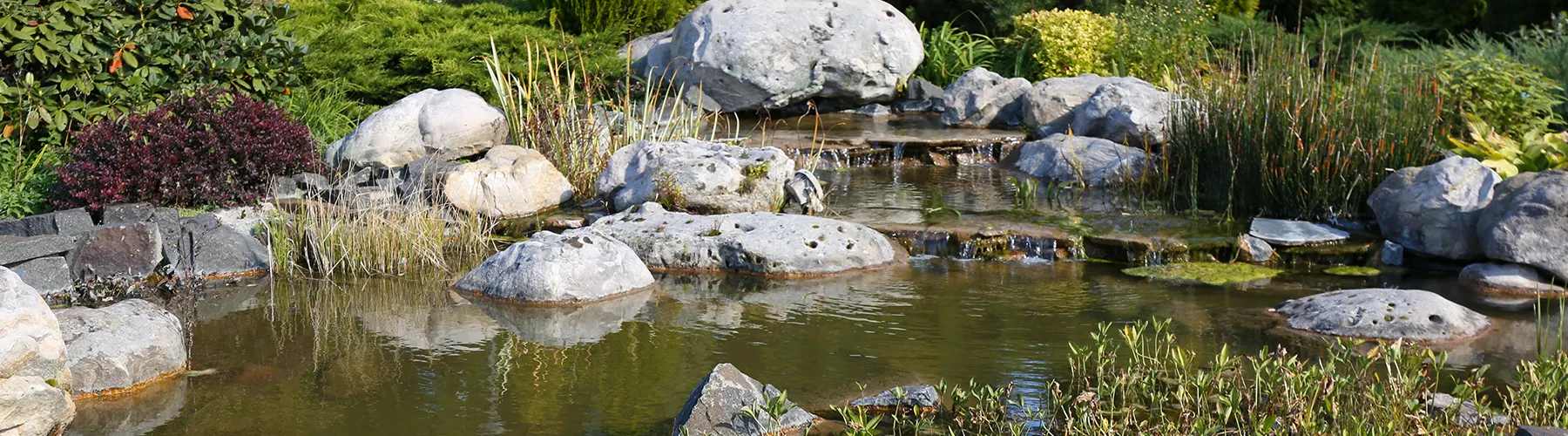 Pond Design Services Suffolk