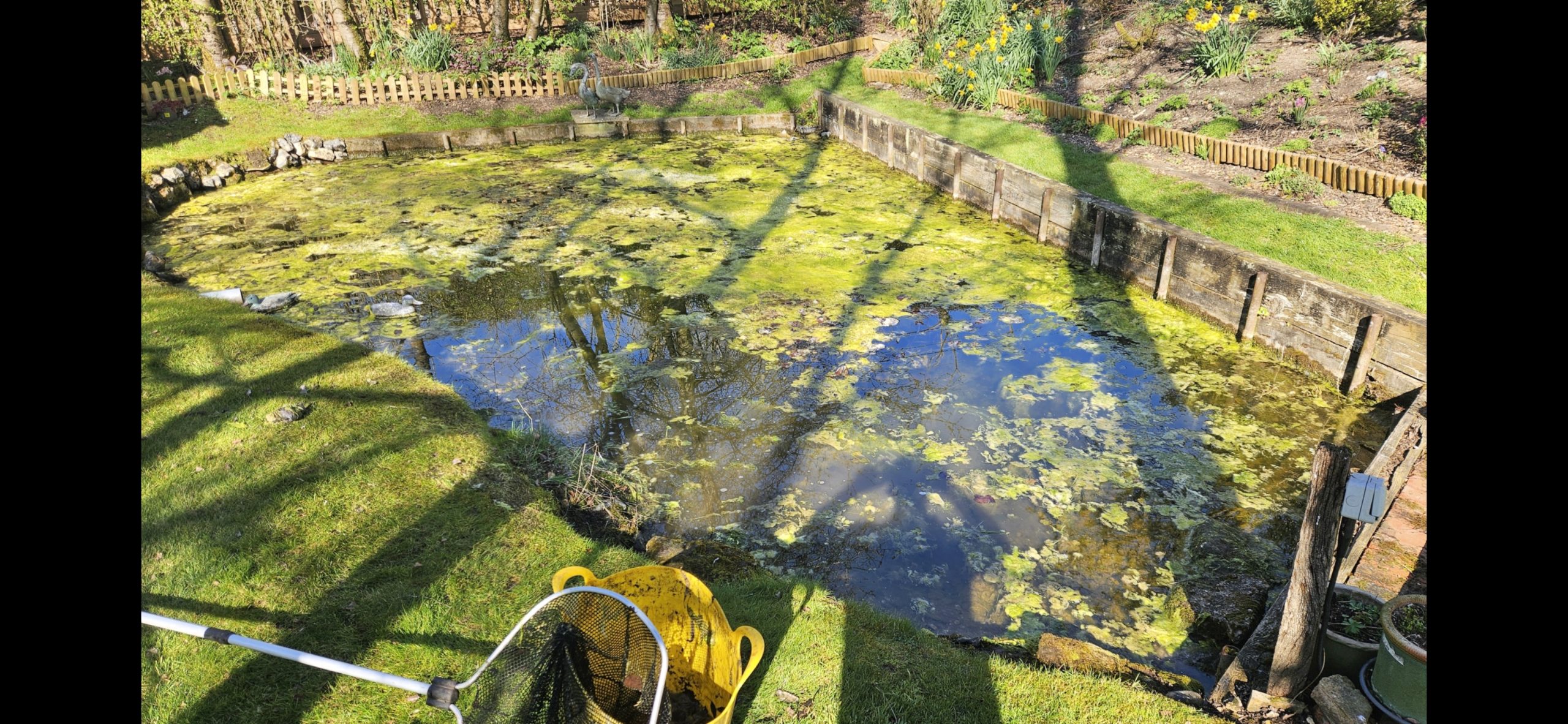 Aquafanatics Golden Rules pond guide cover